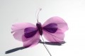 207806 Veren vlinder roze paars